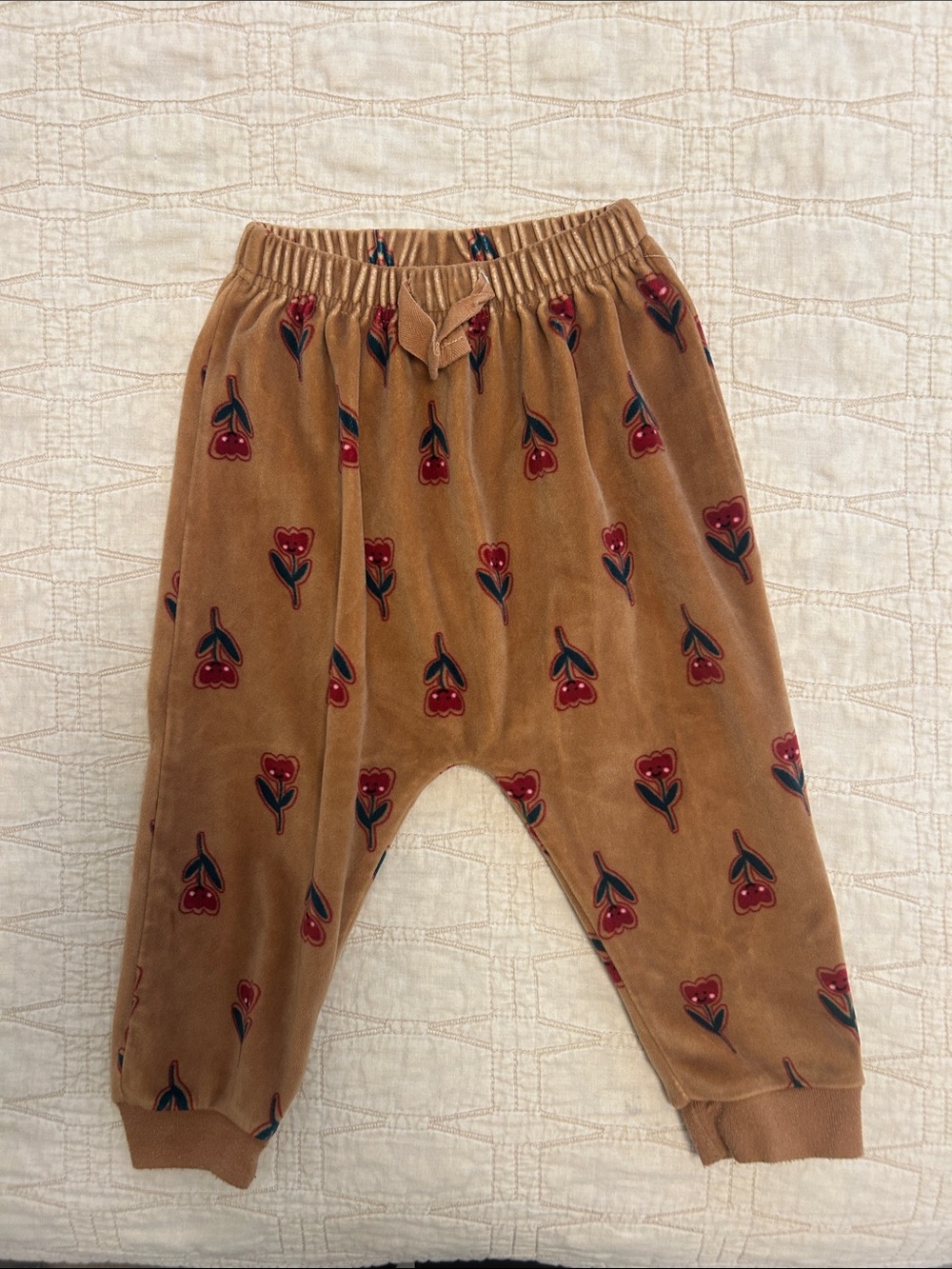 Snug brand Tan Velvet Jogger Pants with Red Floral Print
